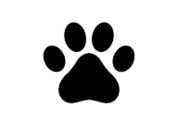 Paw Print